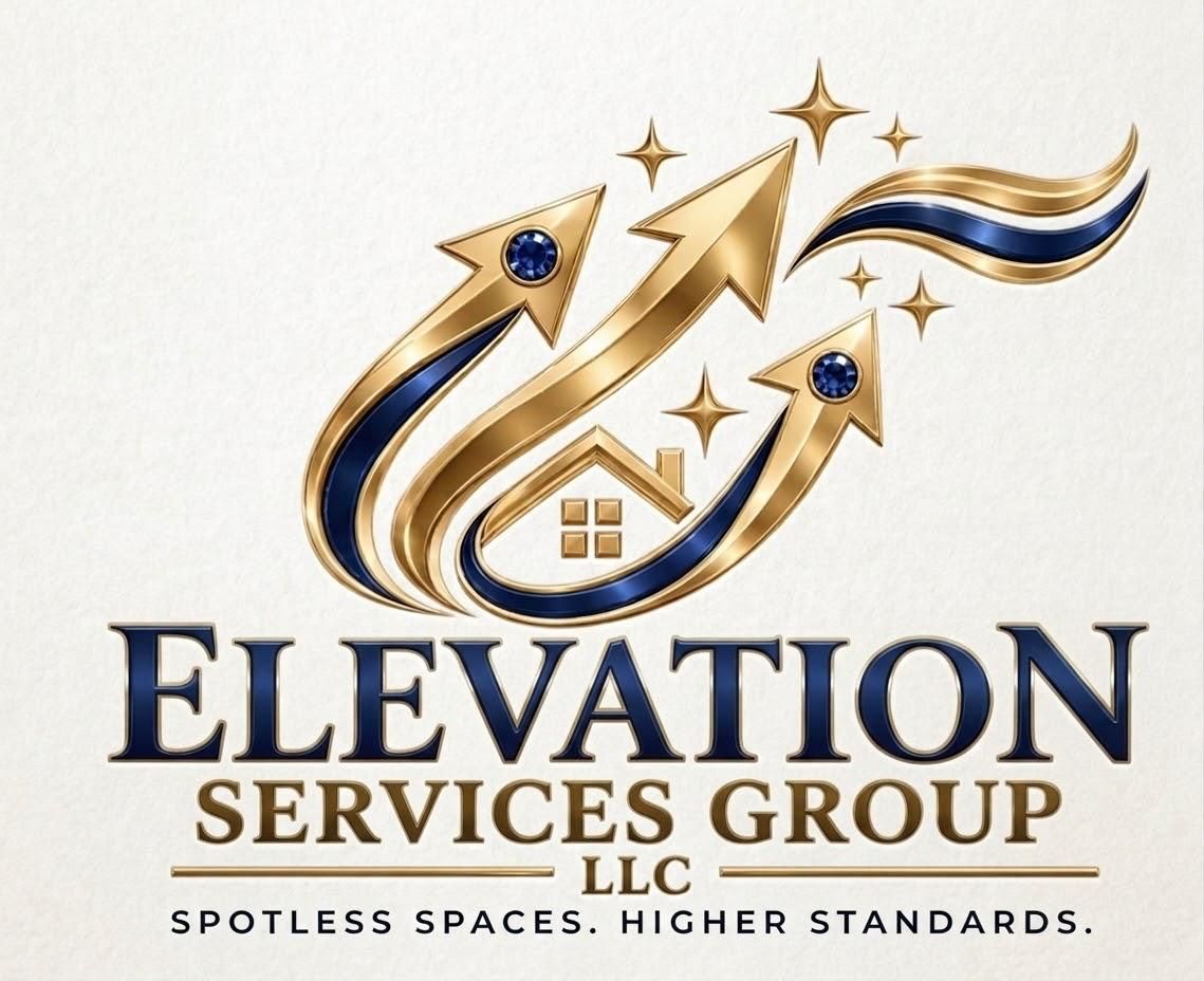 Elevation Services Group LLC logo